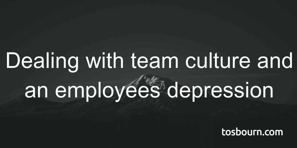 Dealing with team culture and an employees depression