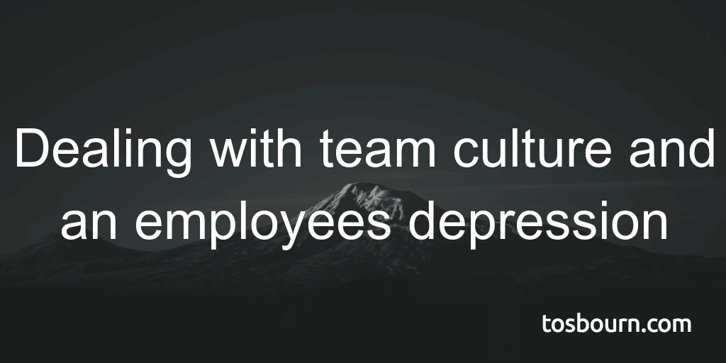Dealing with team culture and an employees depression