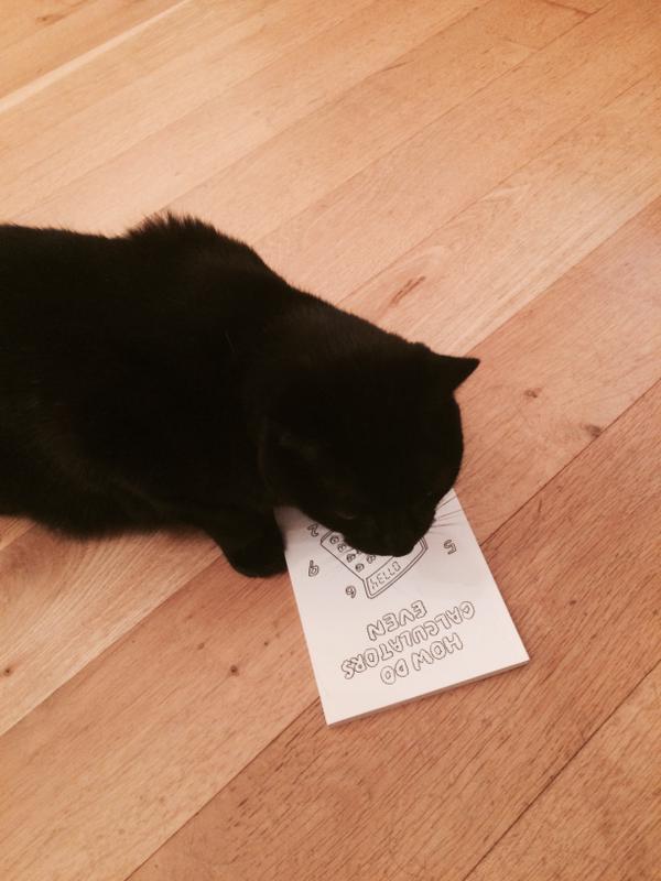 Pixel Enjoying the Zine