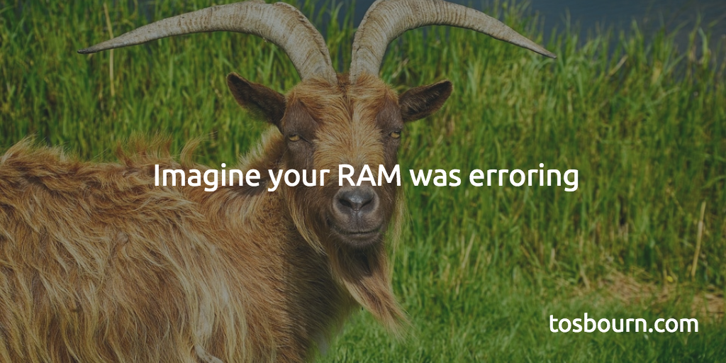 Imagine your RAM was erroring