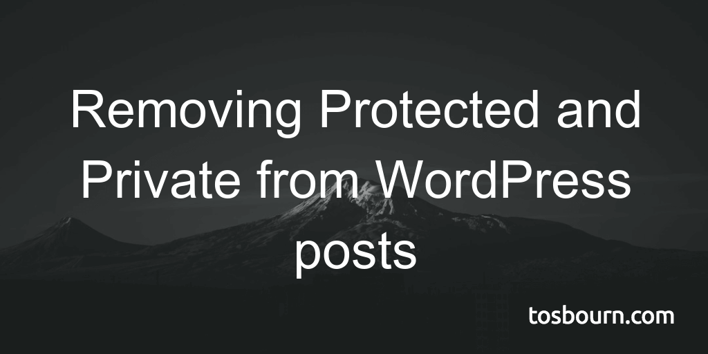 Removing Protected and Private from WordPress posts