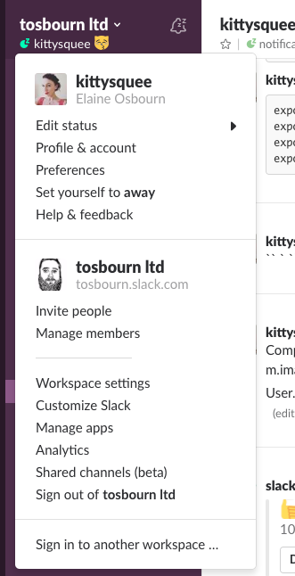 Sidebar menu from Slack app, showing different options, one option being Customise Slack