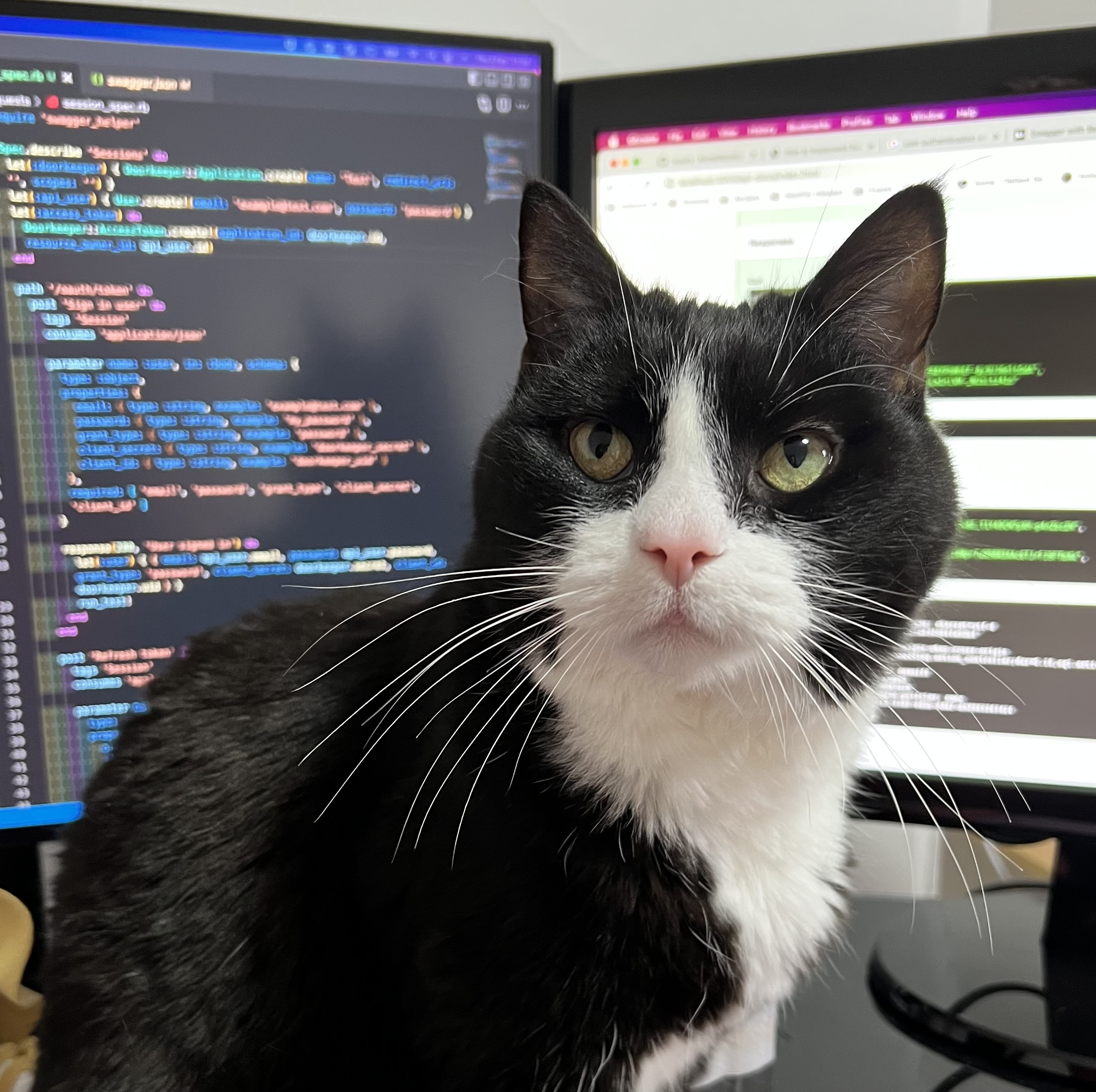 A picture of a black and white cat in front of some monitors