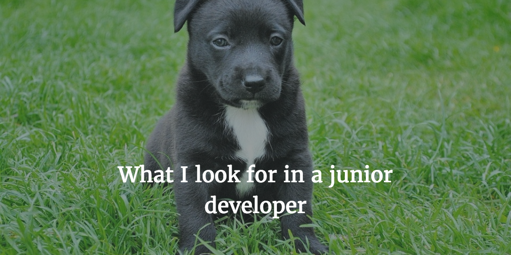 What I would look for in a junior developer